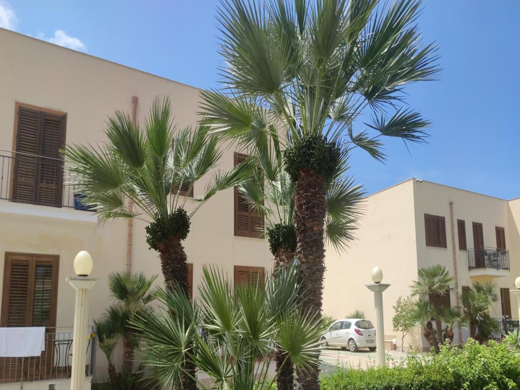 Appartamento Valentina San Vito Lo Capo Ngoại thất bức ảnh