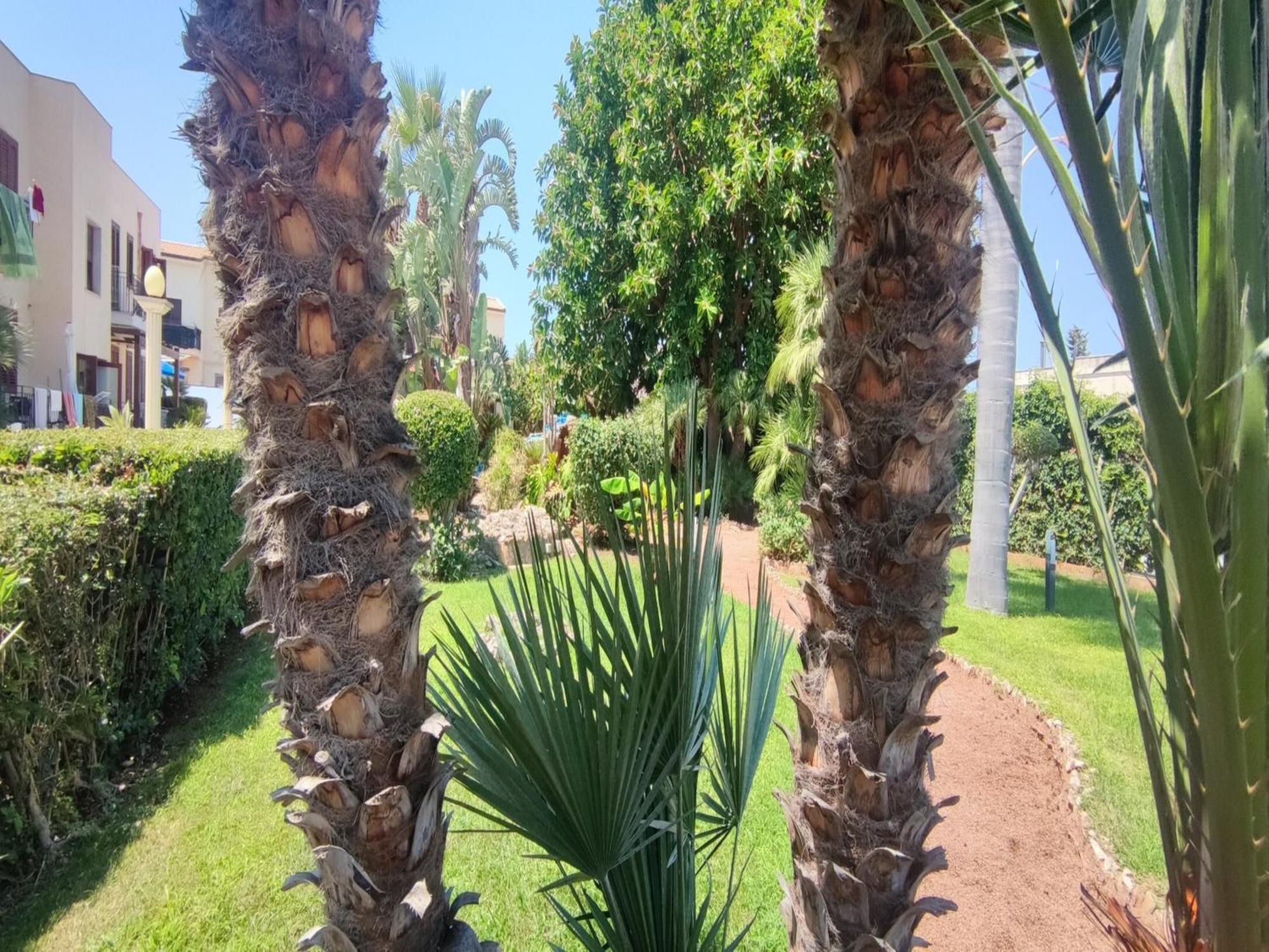 Appartamento Valentina San Vito Lo Capo Ngoại thất bức ảnh